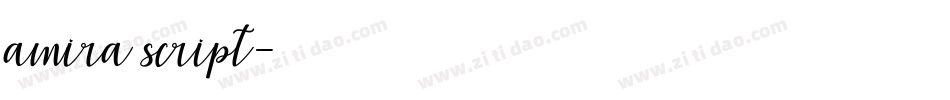 amira script字体转换